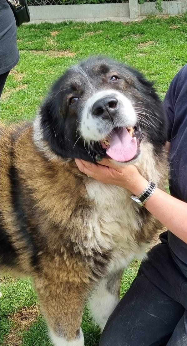 Tula – Cambridgeshire